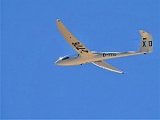 31 Aliante in volo